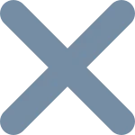 Times Xs SVG Icon